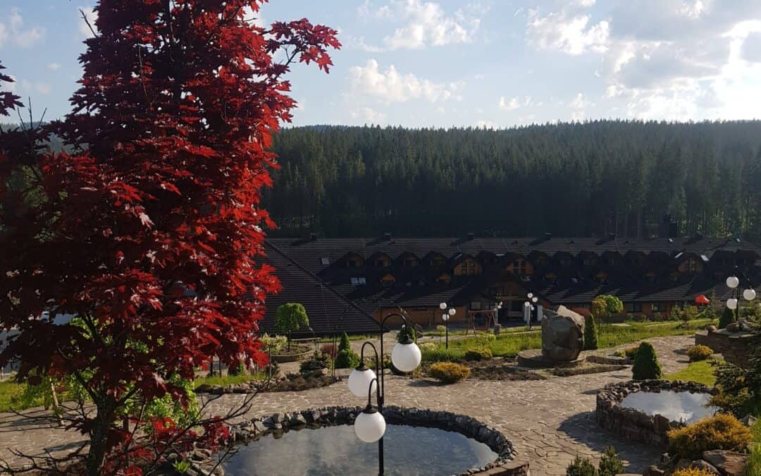 Park Wodny Olza – Aquapark a SPA v Istebné